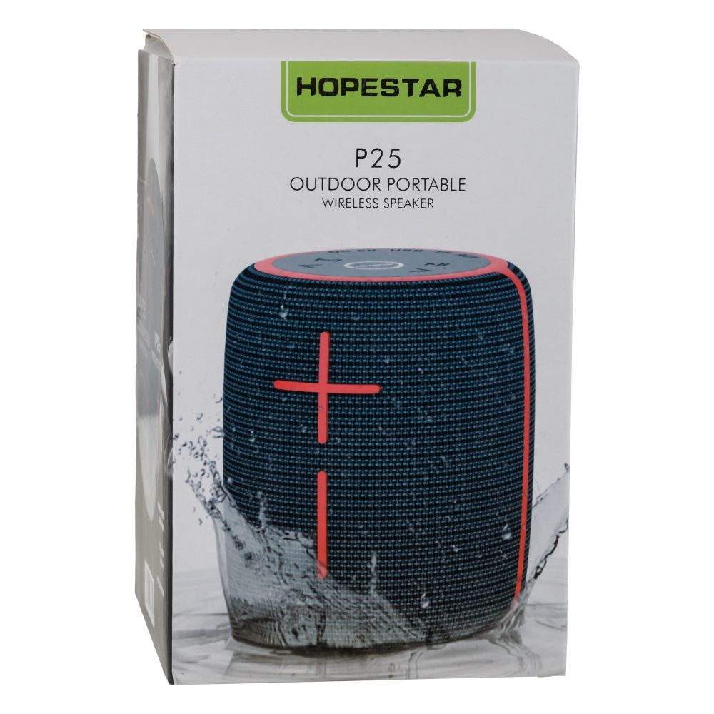 Акустична Система Hopestar P25 - 1