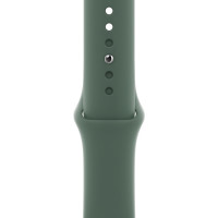 Ремінець для Apple Watch (42-44mm) Sport Band Wood Green (58) 