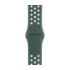 Ремінець для Apple Watch (38-40mm) Nike Sport Band Wood Green/Gray - 1